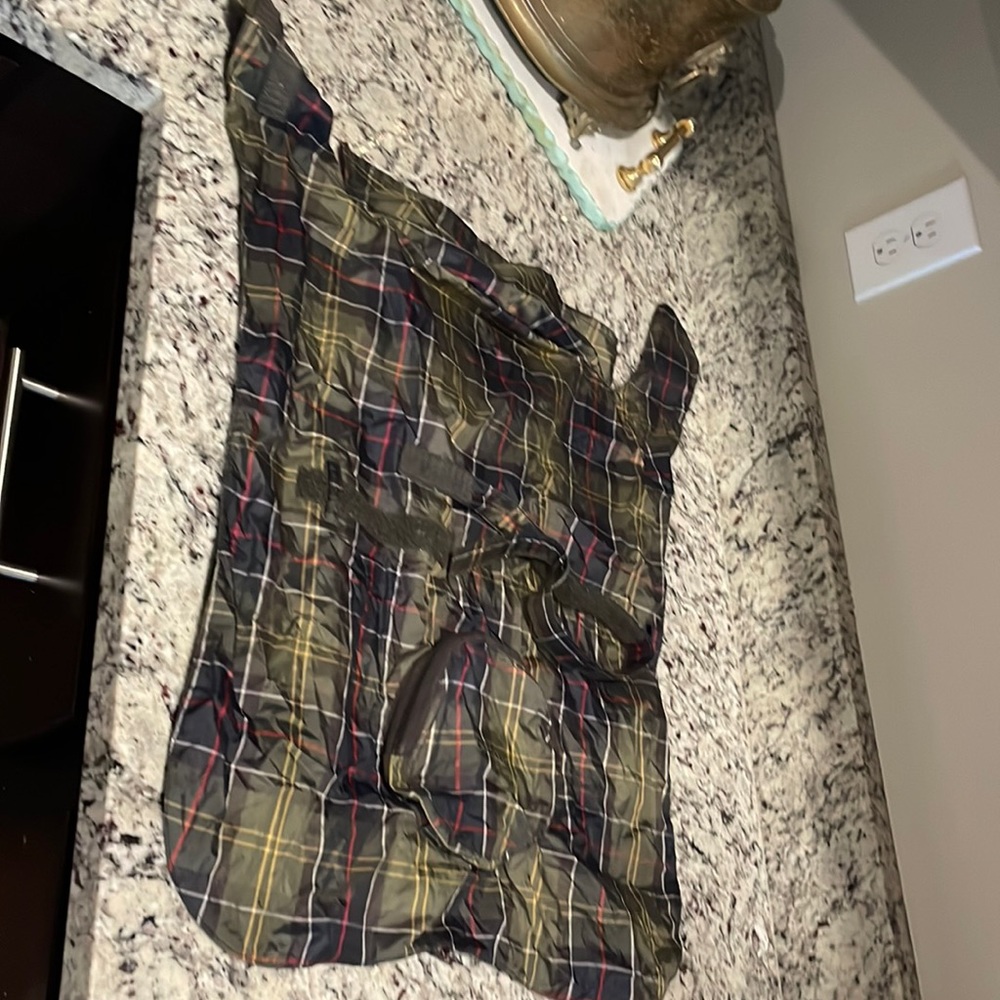 Large dog Barber
